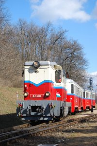 4437891264_9cdedc448a_o