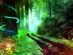 Magical_Forest_by_siilikas9