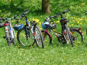 bicycles-6895_1280