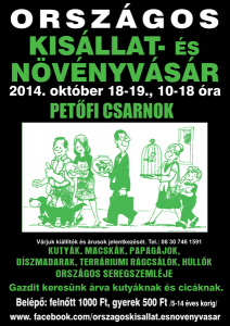 1412847117.57451412847117kisállat